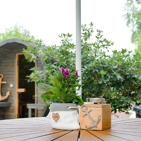 Ferienhaeuser Kiebitzsee * Falkenberg/Elster