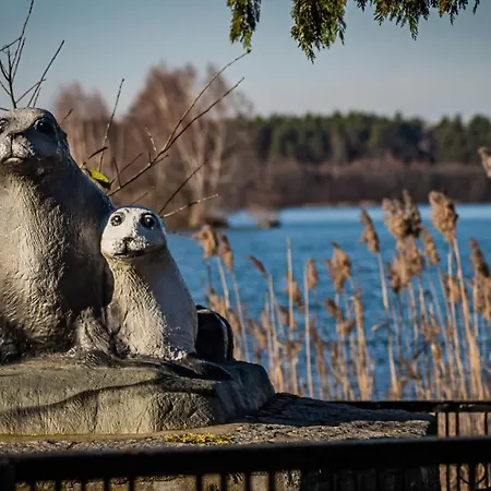 Ferienhaeuser Kiebitzsee *