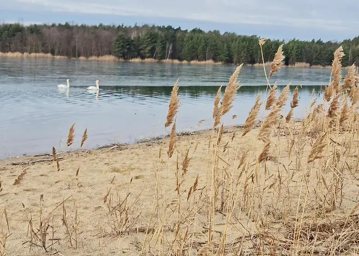 Ferienhaeuser Kiebitzsee * Falkenburg
