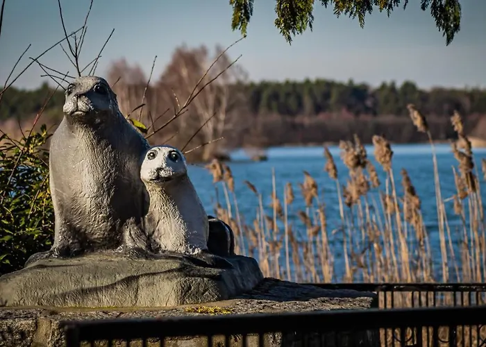 Ferienhaeuser Kiebitzsee *